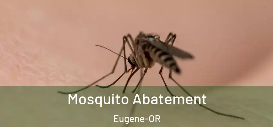  Mosquito Abatement Eugene-OR