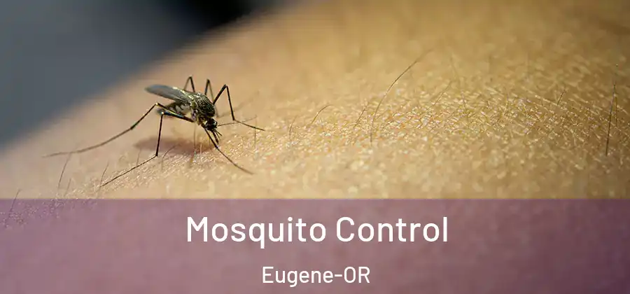 Mosquito Control Eugene-OR