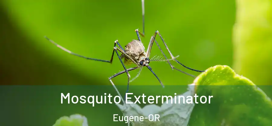 Mosquito Exterminator Eugene-OR