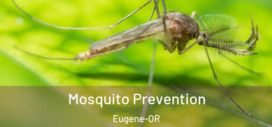 Mosquito Prevention Eugene-OR