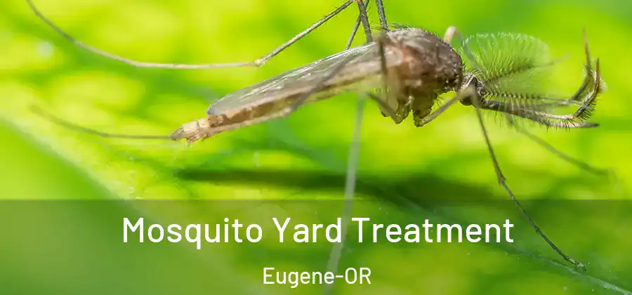 Mosquito Yard Treatment Eugene-OR