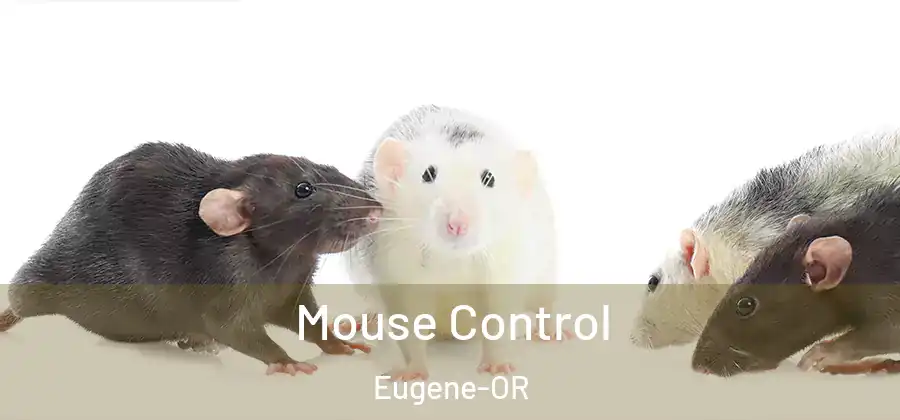  Mouse Control Eugene-OR
