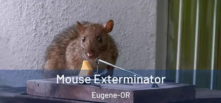  Mouse Exterminator Eugene-OR