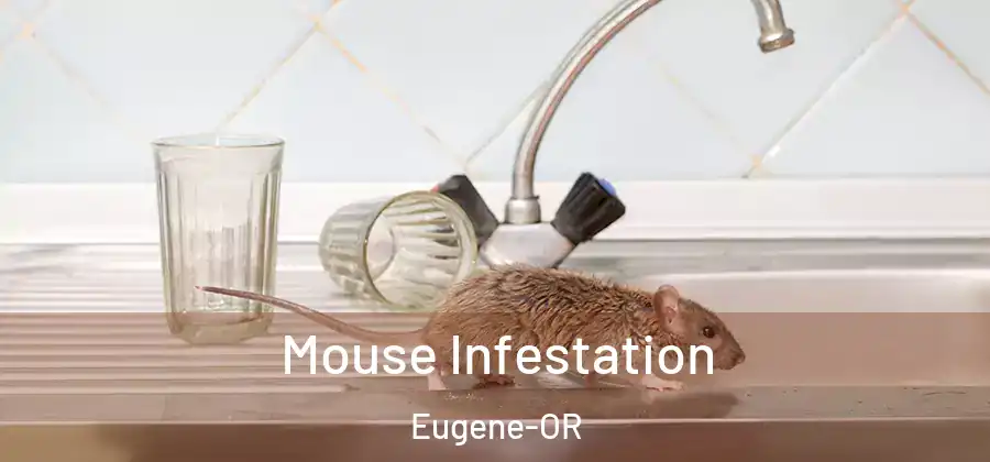 Mouse Infestation Eugene-OR