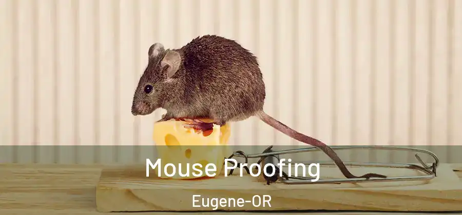 Mouse Proofing Eugene-OR