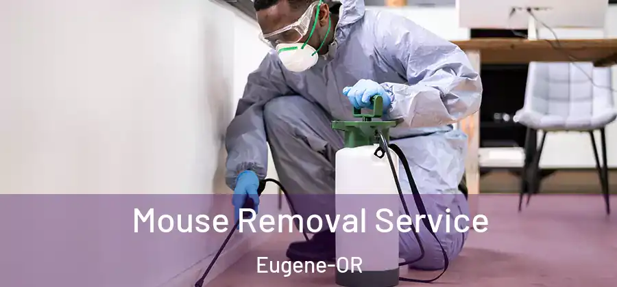 Mouse Removal Service Eugene-OR