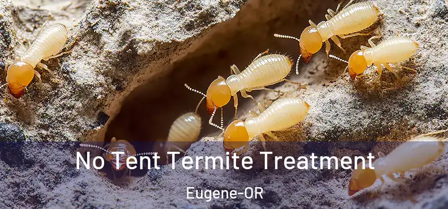 No Tent Termite Treatment Eugene-OR