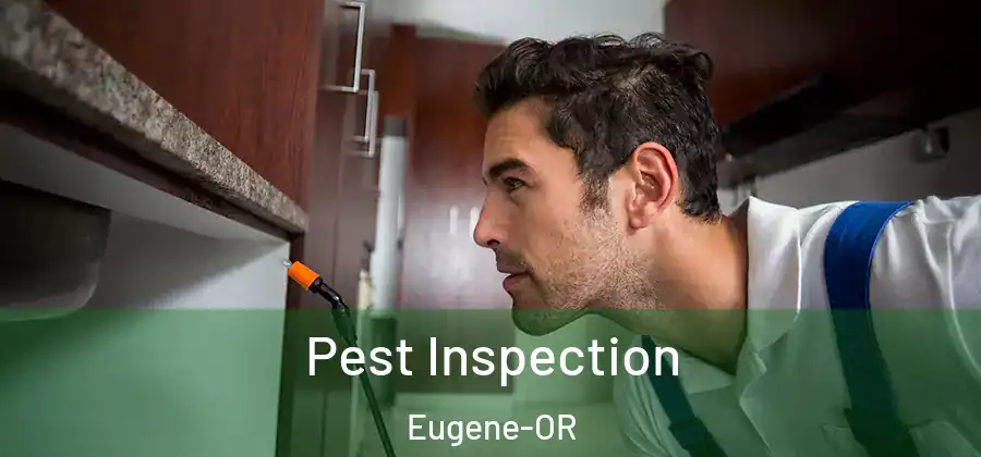 Pest Inspection Eugene-OR