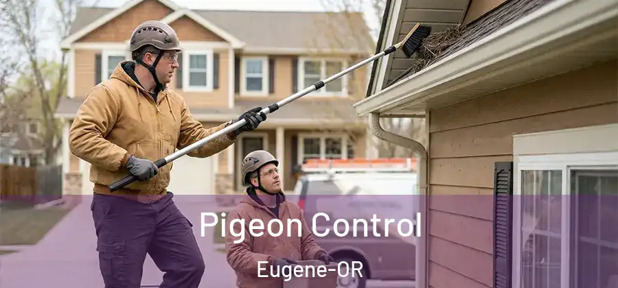 Pigeon Control Eugene-OR