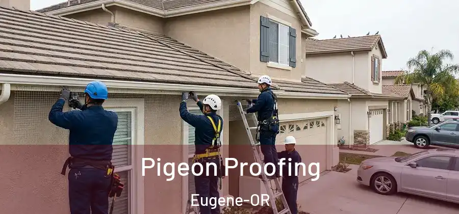 Pigeon Proofing Eugene-OR