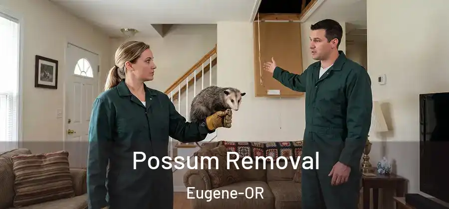 Possum Removal Eugene-OR