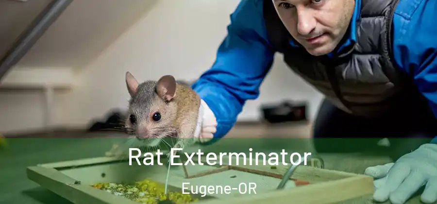 Rat Exterminator Eugene-OR