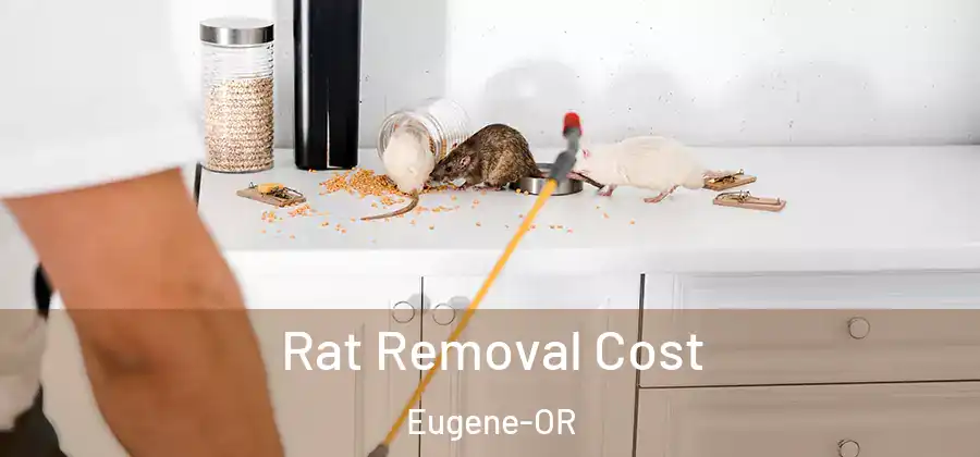 Rat Removal Cost Eugene-OR