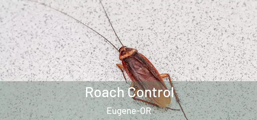  Roach Control Eugene-OR