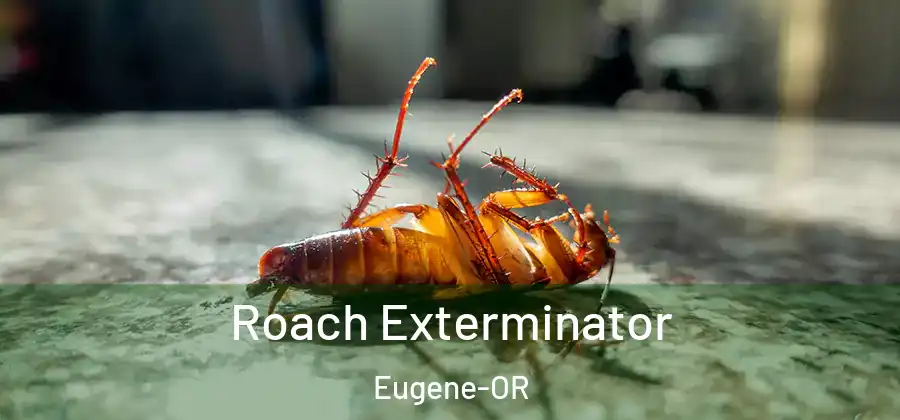 Roach Exterminator Eugene-OR