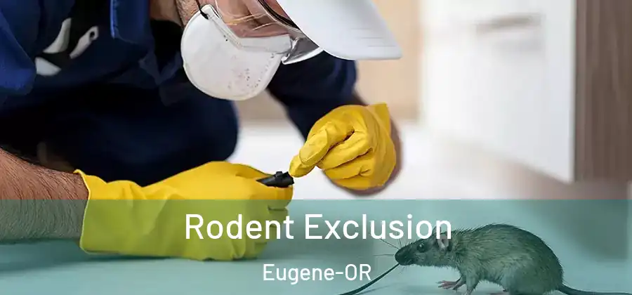 Rodent Exclusion Eugene-OR