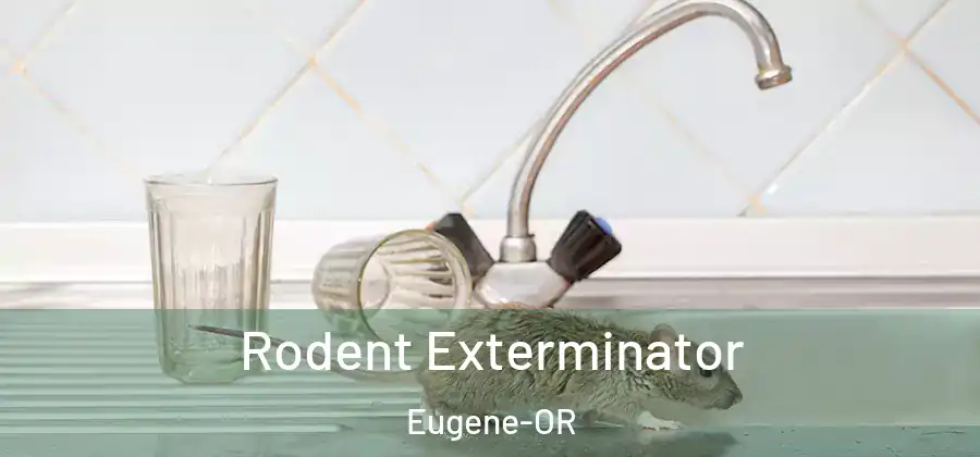 Rodent Exterminator Eugene-OR