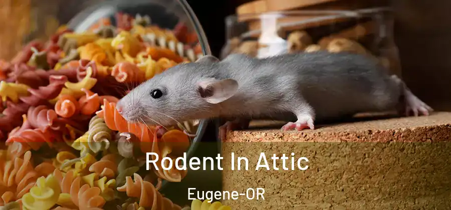 Rodent In Attic Eugene-OR