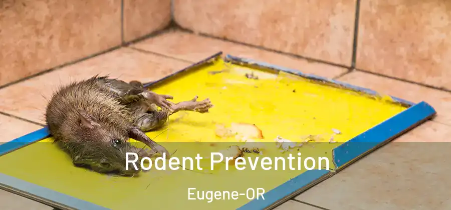 Rodent Prevention Eugene-OR