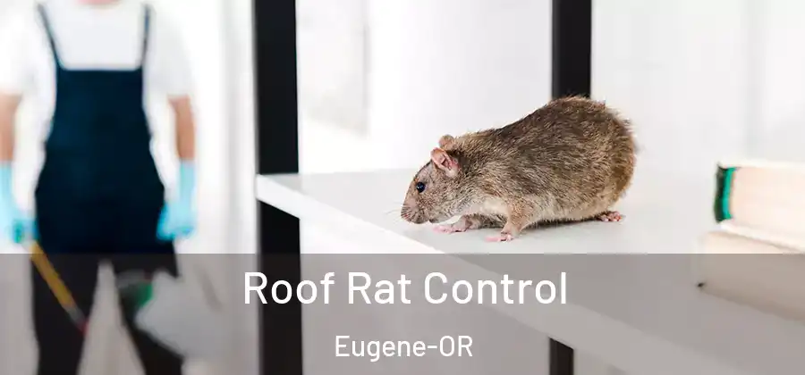  Roof Rat Control Eugene-OR