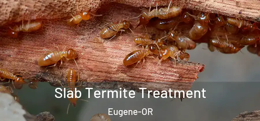  Slab Termite Treatment Eugene-OR