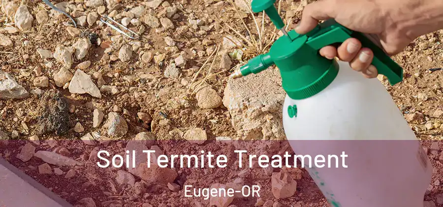  Soil Termite Treatment Eugene-OR