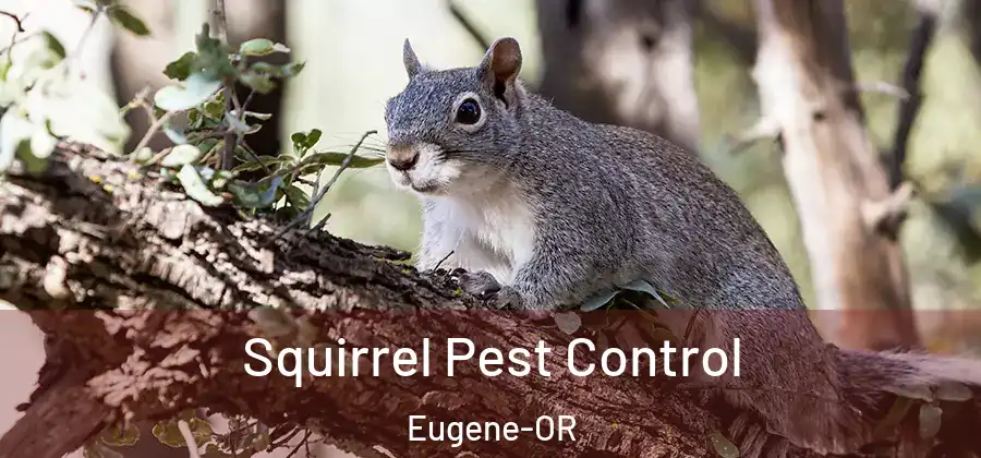 Squirrel Pest Control Eugene-OR