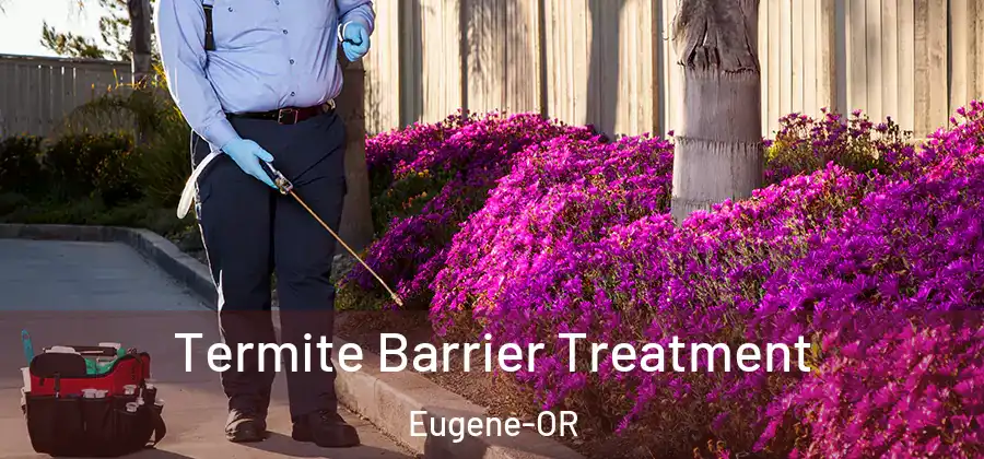 Termite Barrier Treatment Eugene-OR
