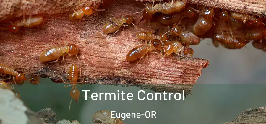 Termite Control Eugene-OR