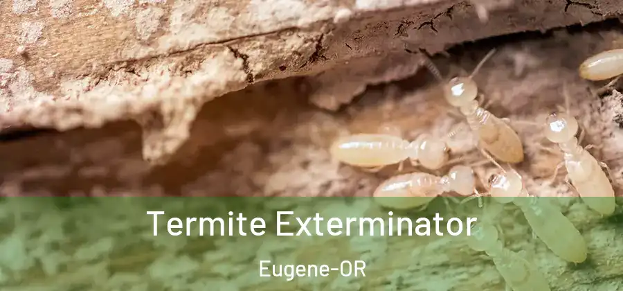 Termite Exterminator Eugene-OR