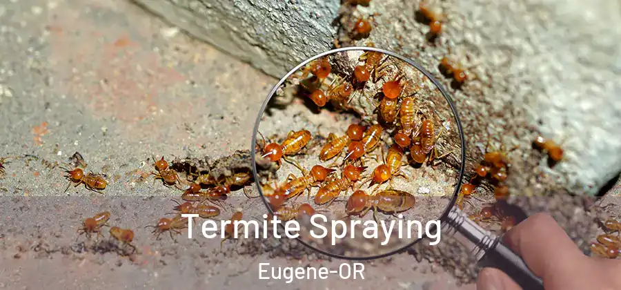 Termite Spraying Eugene-OR