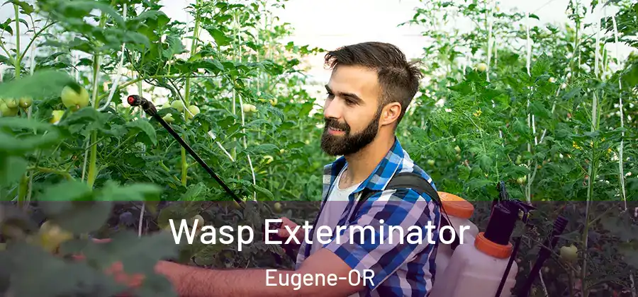 Wasp Exterminator Eugene-OR