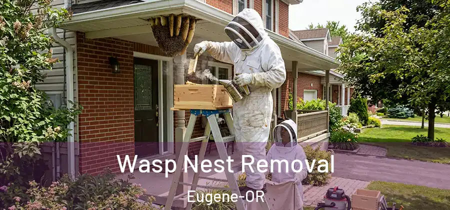  Wasp Nest Removal Eugene-OR