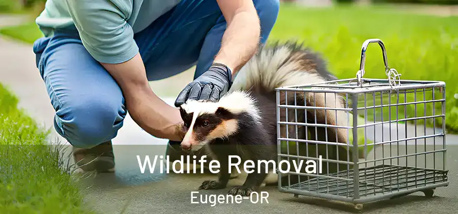 Wildlife Removal Eugene-OR