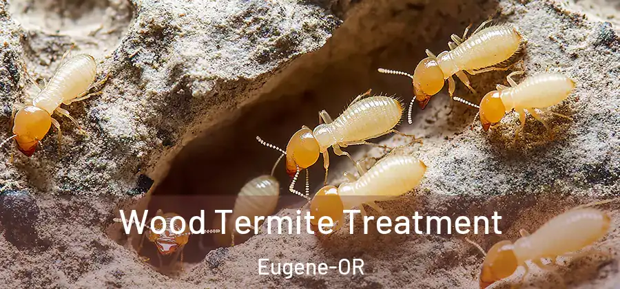 Wood Termite Treatment Eugene-OR