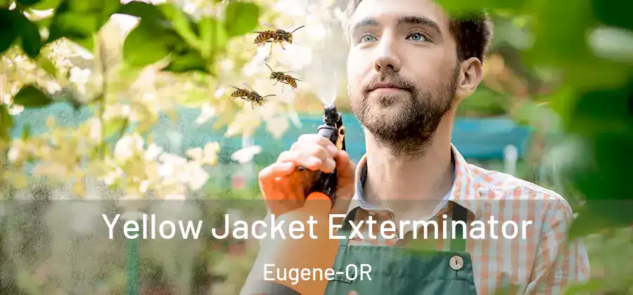 Yellow Jacket Exterminator Eugene-OR
